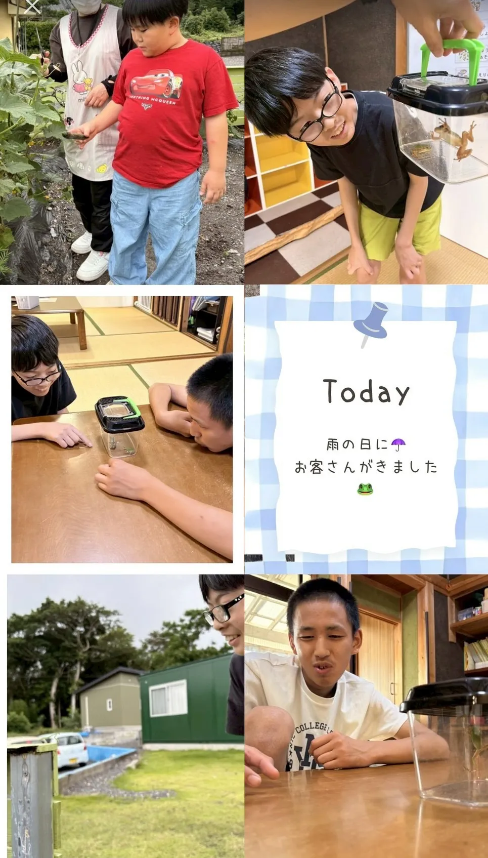 【すてっぷ放デイ】ビジョントレーニングと、蛙との出会い🐸